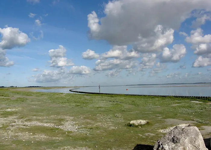 Gites Aux Oiseaux Holiday home